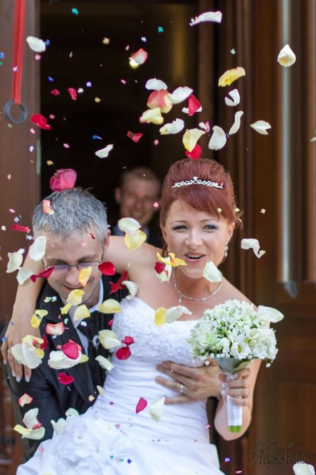 20120707_viltara_ir 20